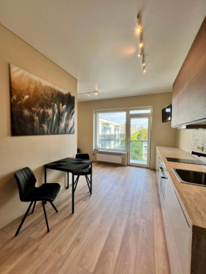 ALBINA Studio Vilnius